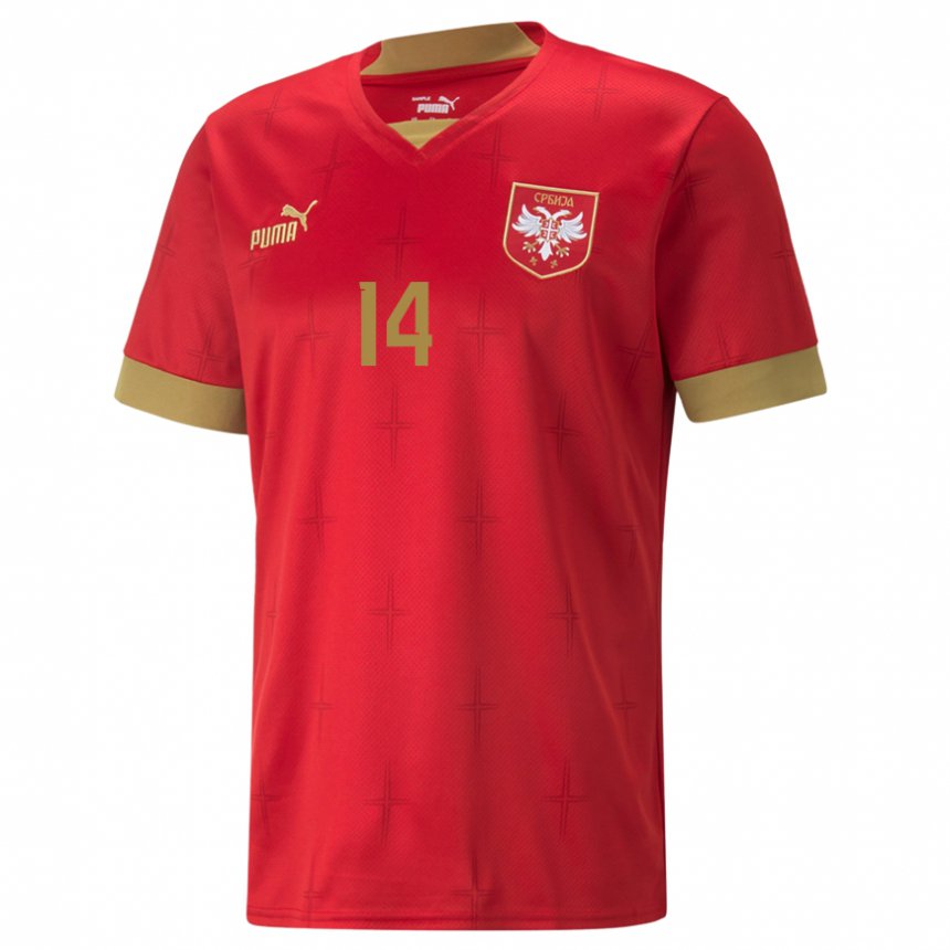 Damen Serbische Aleksa Terzic #14 Rot Heimtrikot Trikot 22-24 T-shirt Österreich