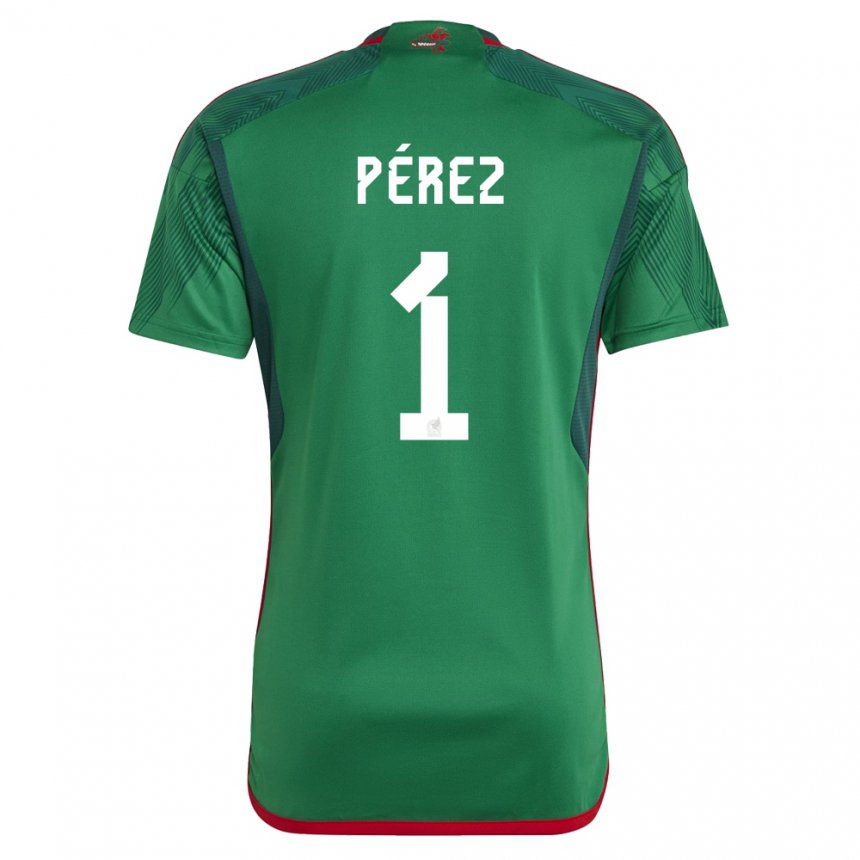 Herren Mexikanische Emiliano Perez #1 Grün Heimtrikot Trikot 22-24 T-shirt Österreich
