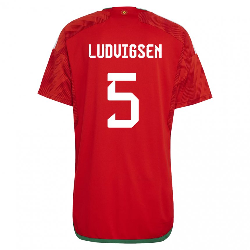 Damen Walisische Kai Ludvigsen #5 Rot Heimtrikot Trikot 22-24 T-shirt Österreich
