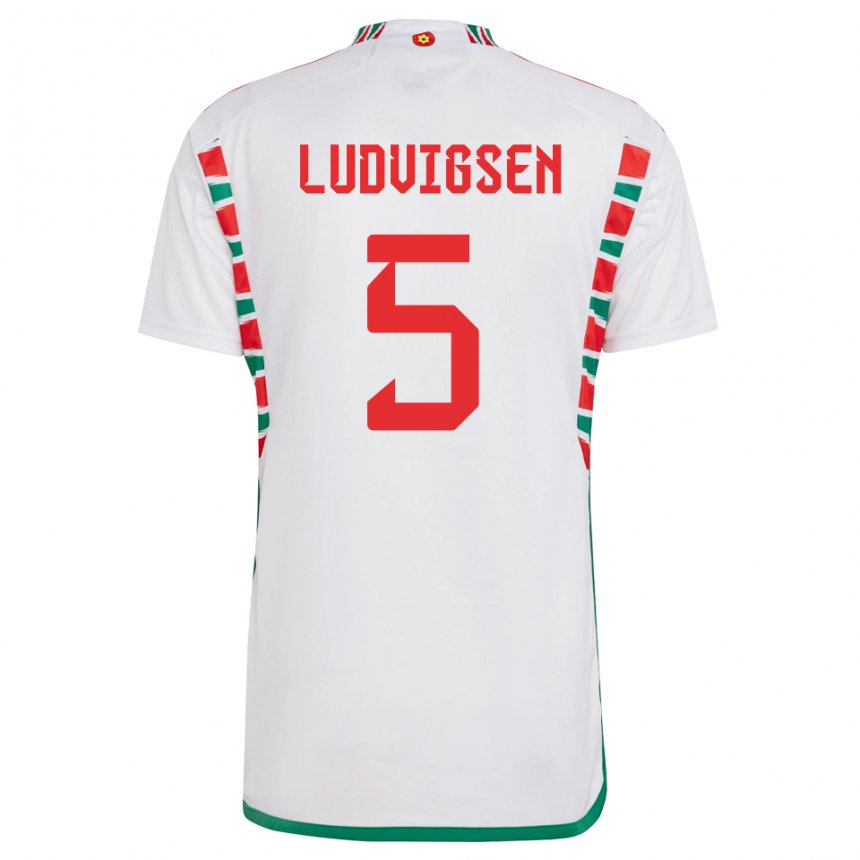 Damen Walisische Kai Ludvigsen #5 Weiß Auswärtstrikot Trikot 22-24 T-shirt Österreich