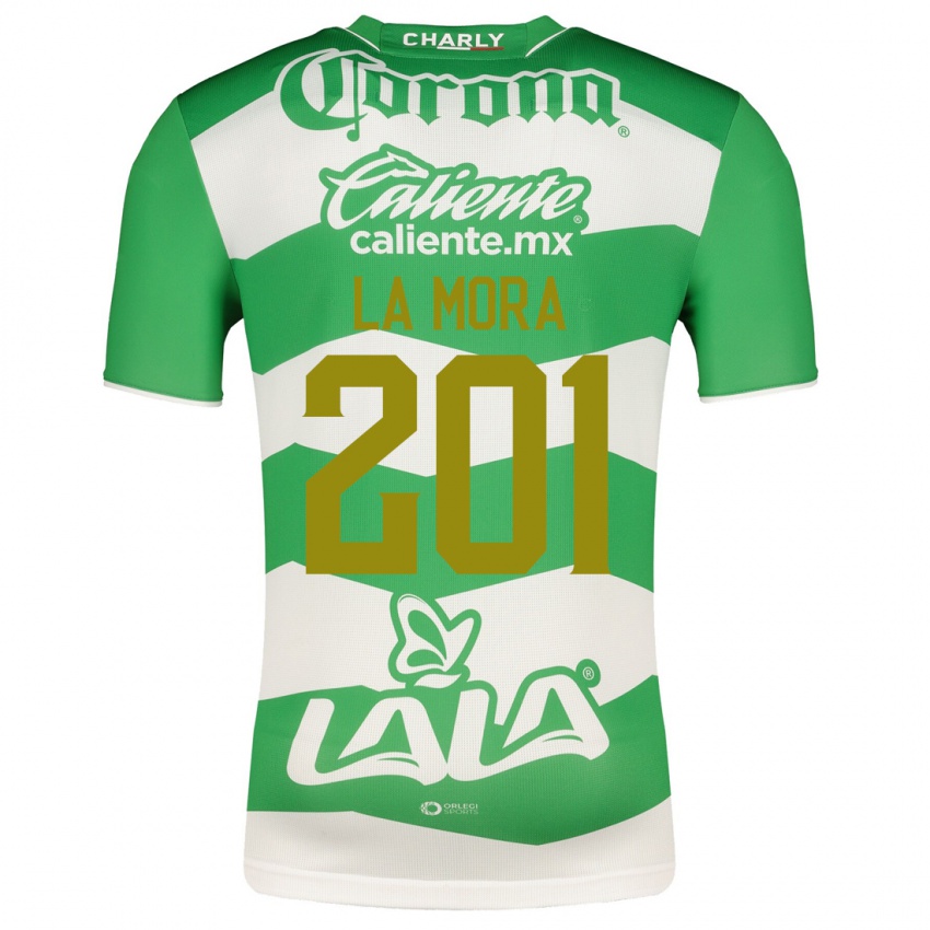 Herren Luis De La Mora #201 Grün Heimtrikot Trikot 2023/24 T-Shirt Österreich