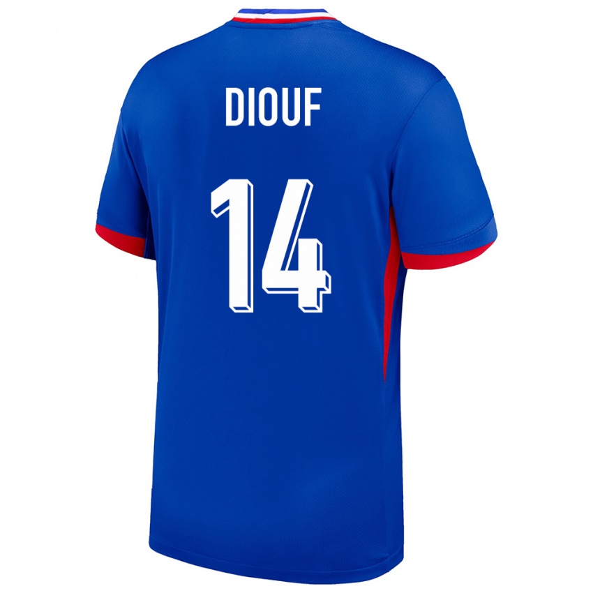Damen Frankreich Andy Diouf #14 Blau Heimtrikot Trikot 24-26 T-Shirt Österreich