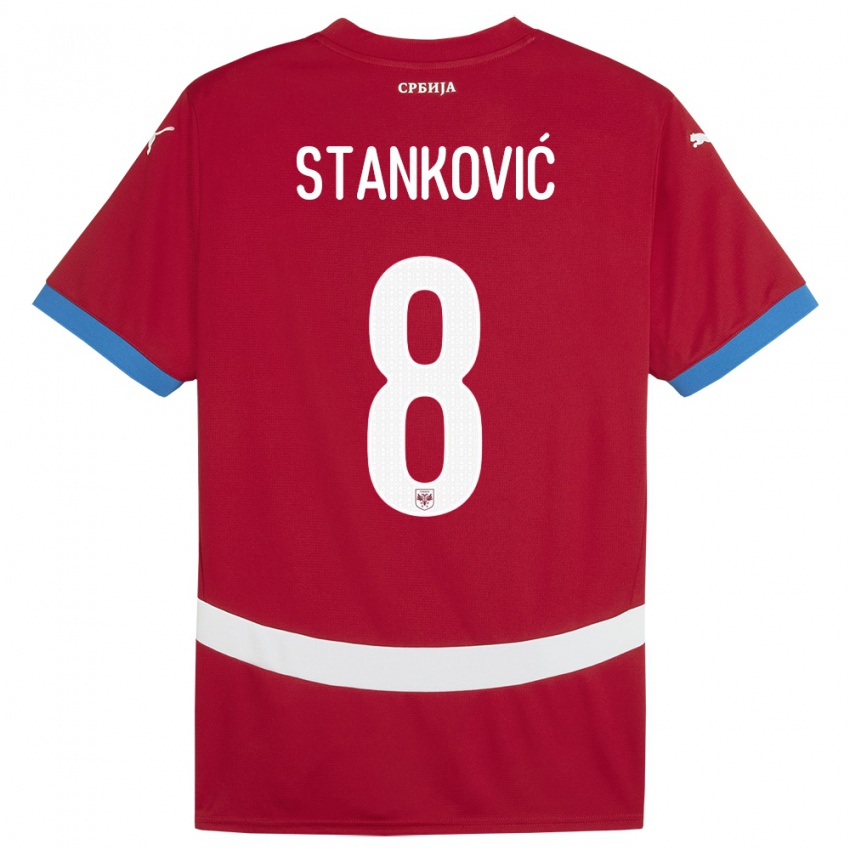 Damen Serbien Aleksandar Stankovic #8 Rot Heimtrikot Trikot 24-26 T-Shirt Österreich