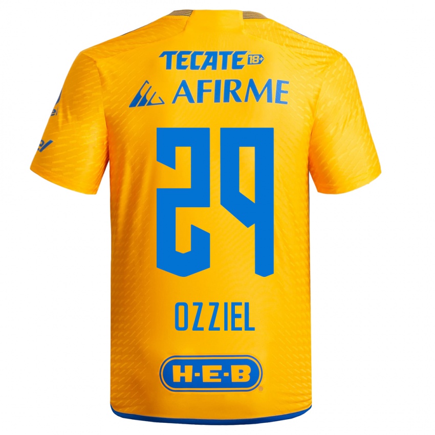 Herren Ozziel Herrera #29 Gelb Heimtrikot Trikot 2023/24 T-Shirt Österreich