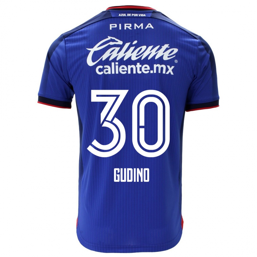 Damen Andres Gudino #30 Blau Heimtrikot Trikot 2023/24 T-Shirt Österreich